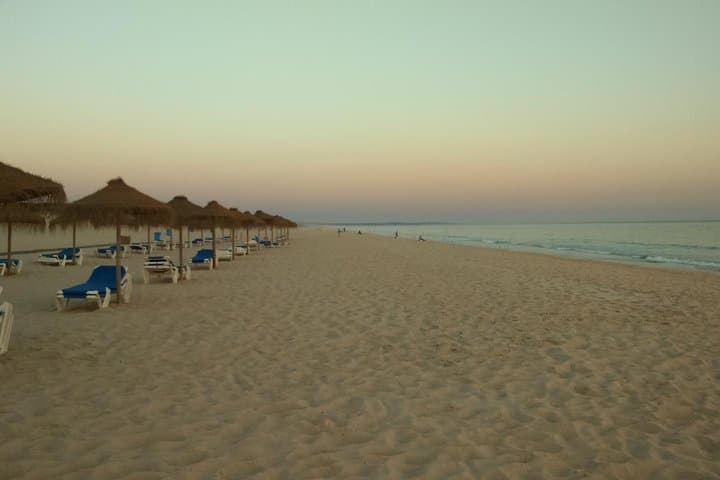 Private Tour to Alentejo Coast, Comporta Beach, Alcacer do Sal and Setubal