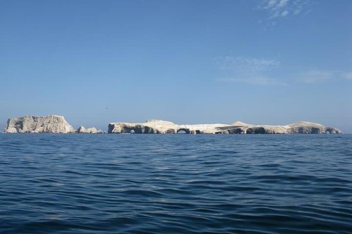 Ballestas Islands Sigthseeing Tour