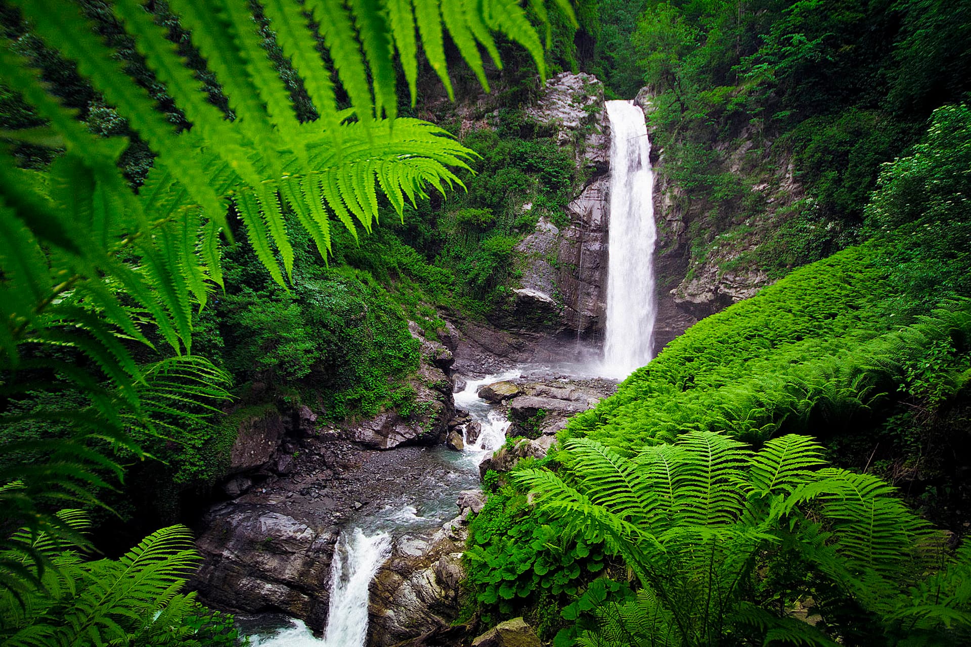 Hiking Tour to Lagodekhi National Park from Tbilisi