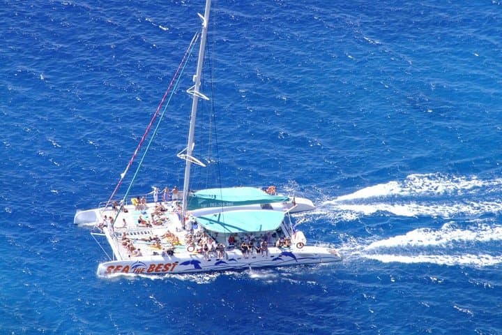 Cabo Girão Skywalk+Vineyards+Wine Tasting Tour in Open Roof 4x4+Dolphin Watching