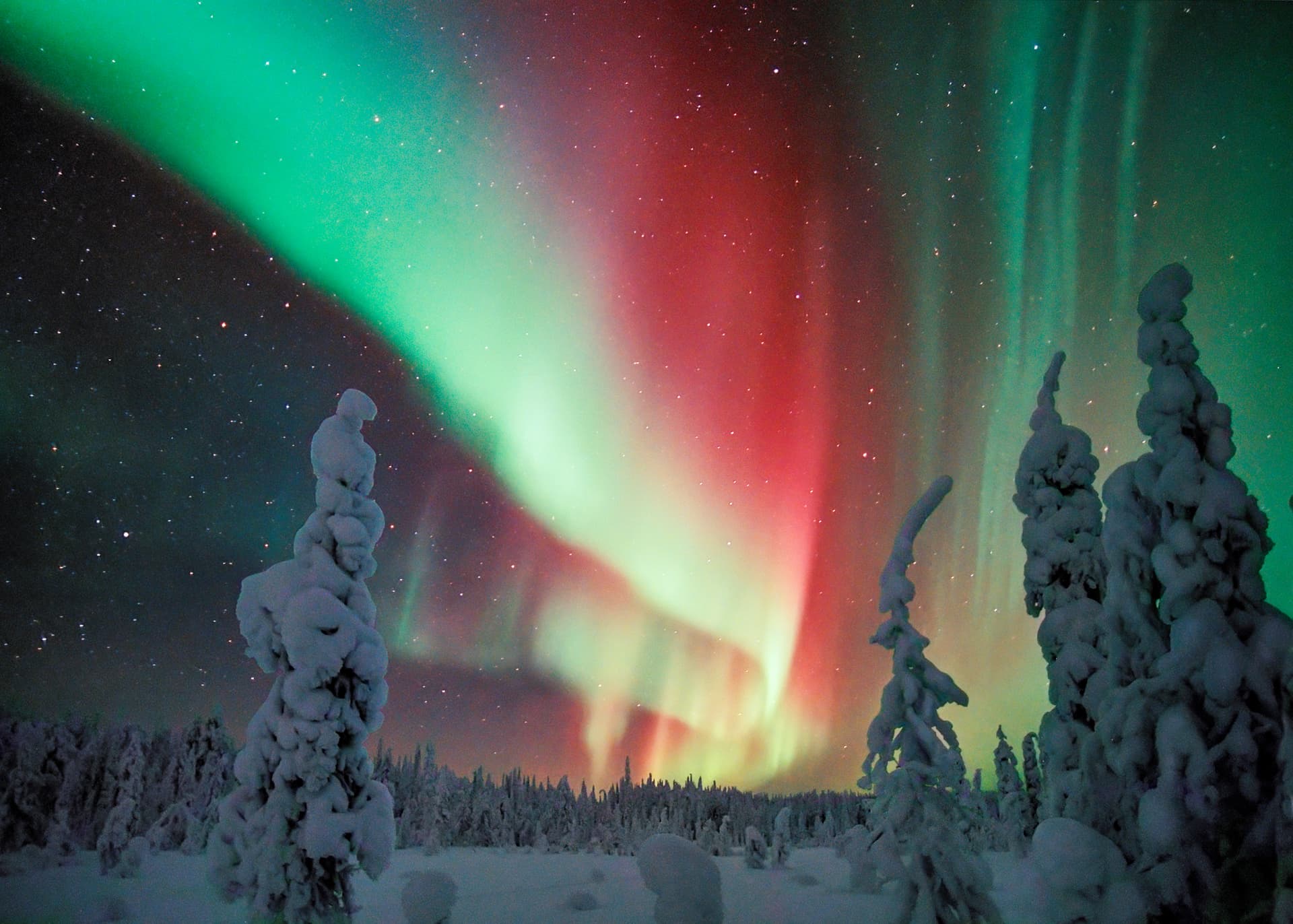 Northern Lights Hunting from Kemi - Kemi