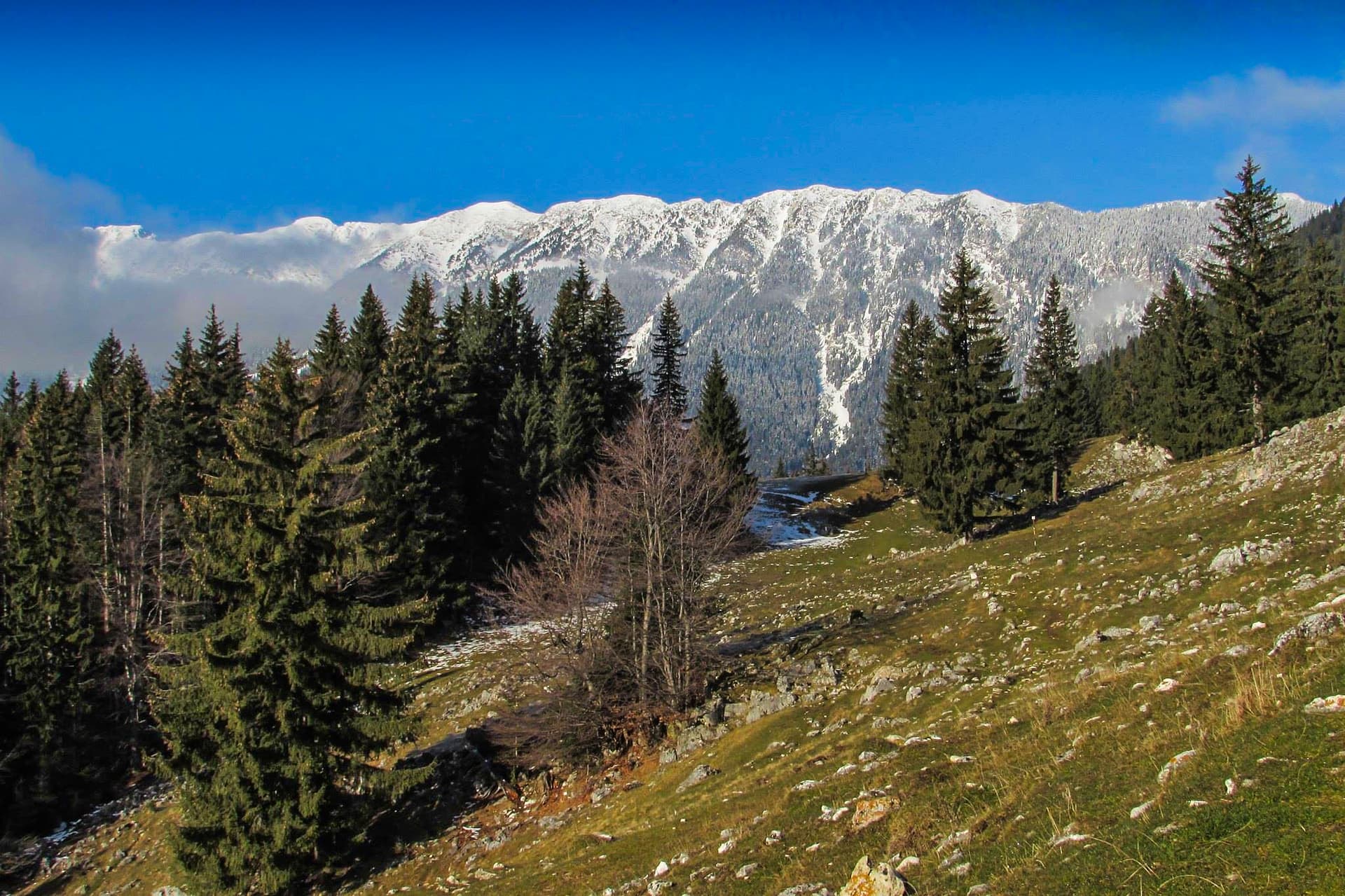 Day Trip to Piatra Craiului mountains & main ridge