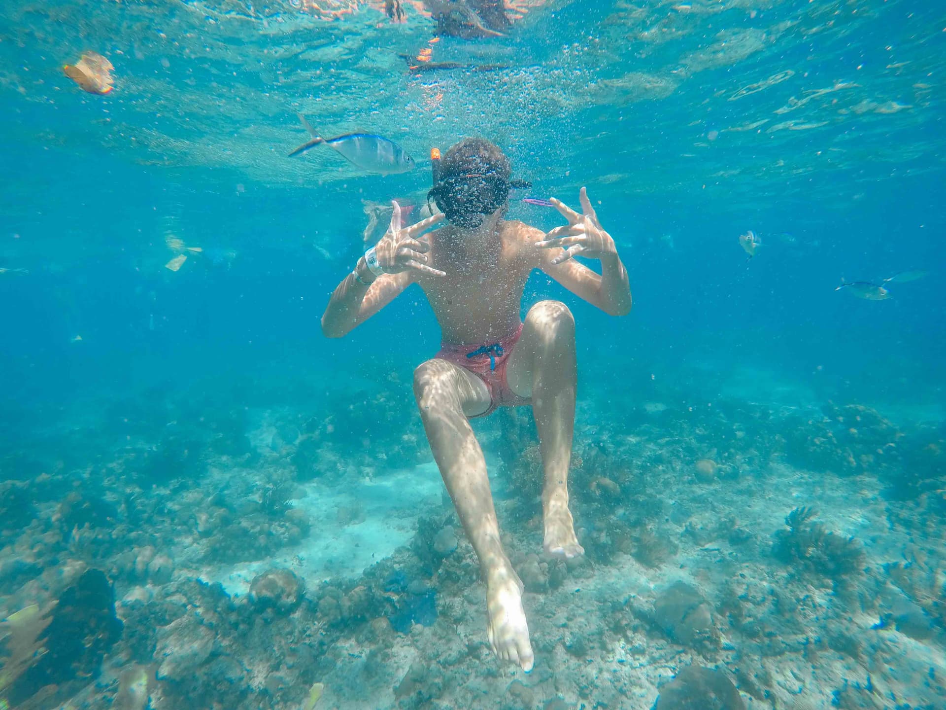 Catalina Island - Full Day Excursion From Punta Cana
