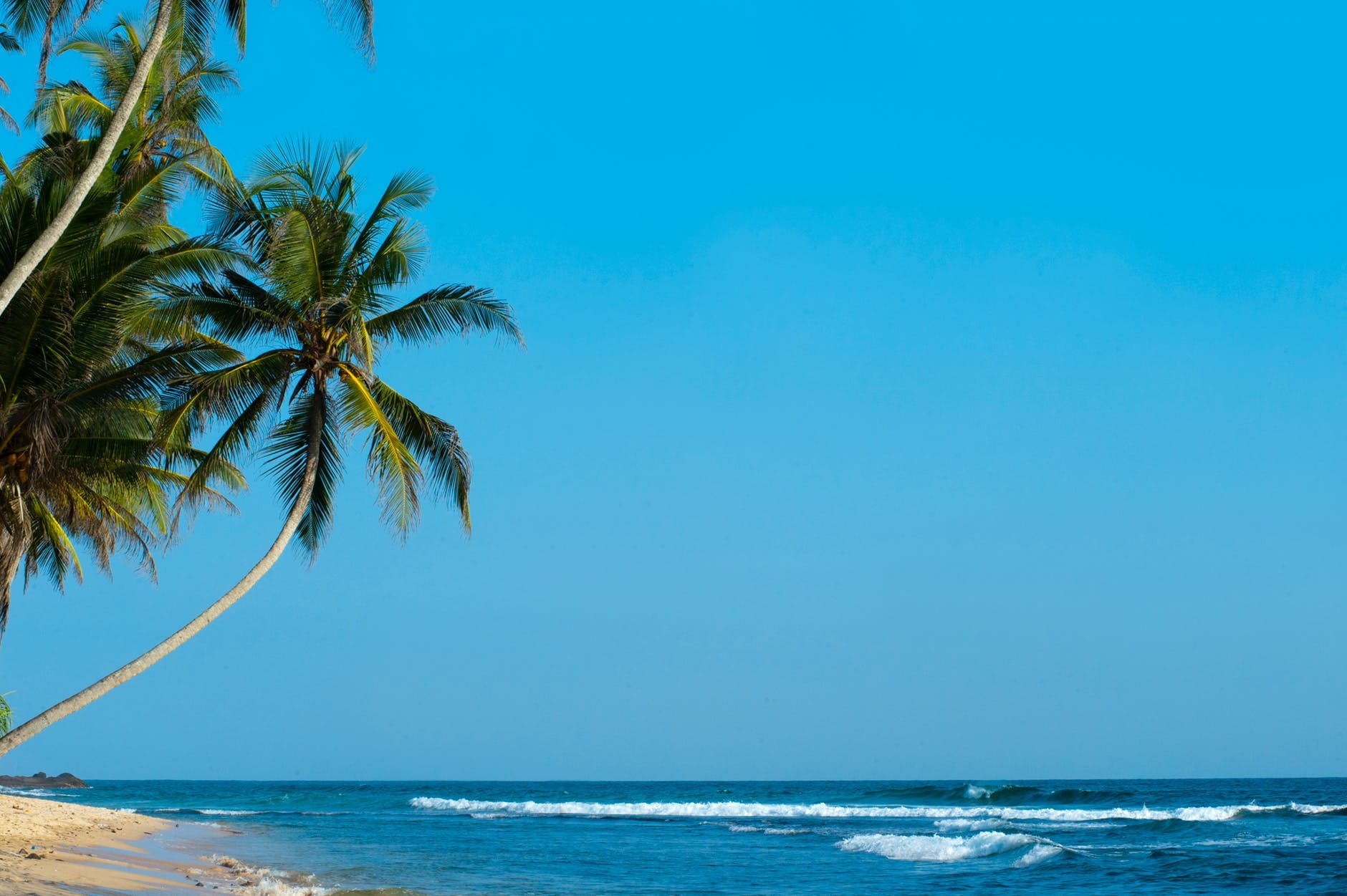 05 Nights/06 Days Beach & Safari Tour