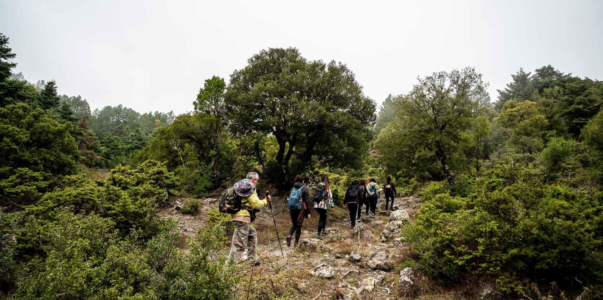 Hiking Mountain Parnitha