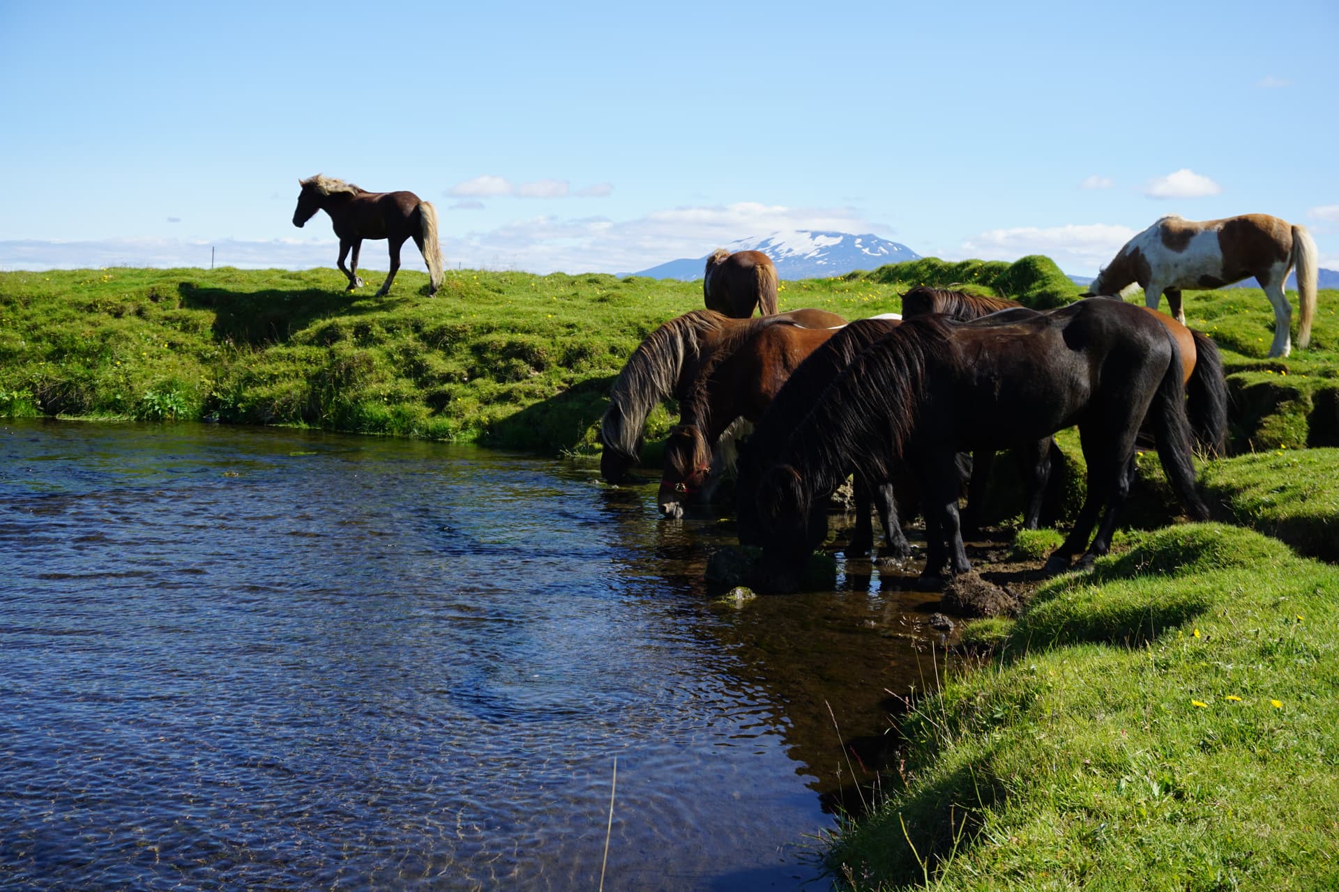 15 - The Volcano Hekla