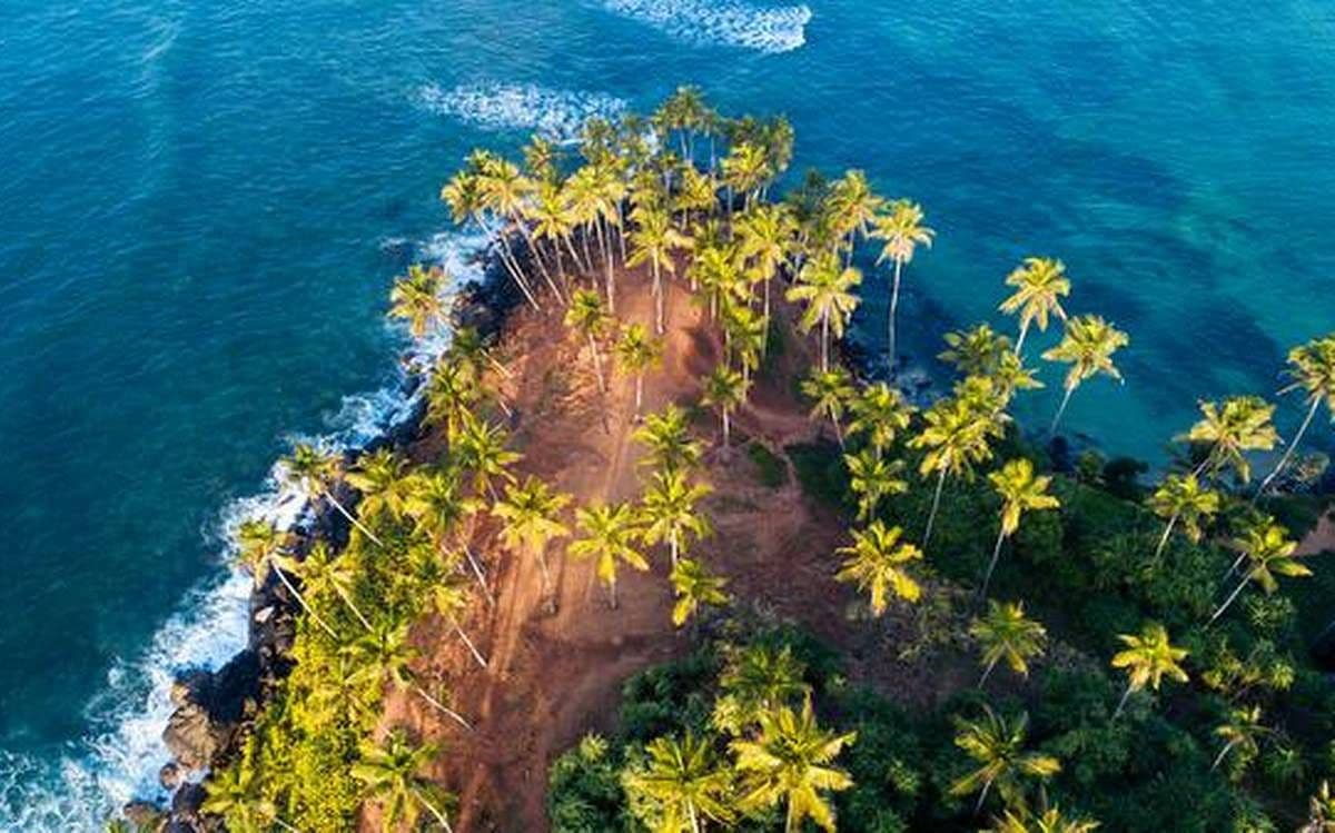  From Tangalla: Mirissa Whale Watching Tour