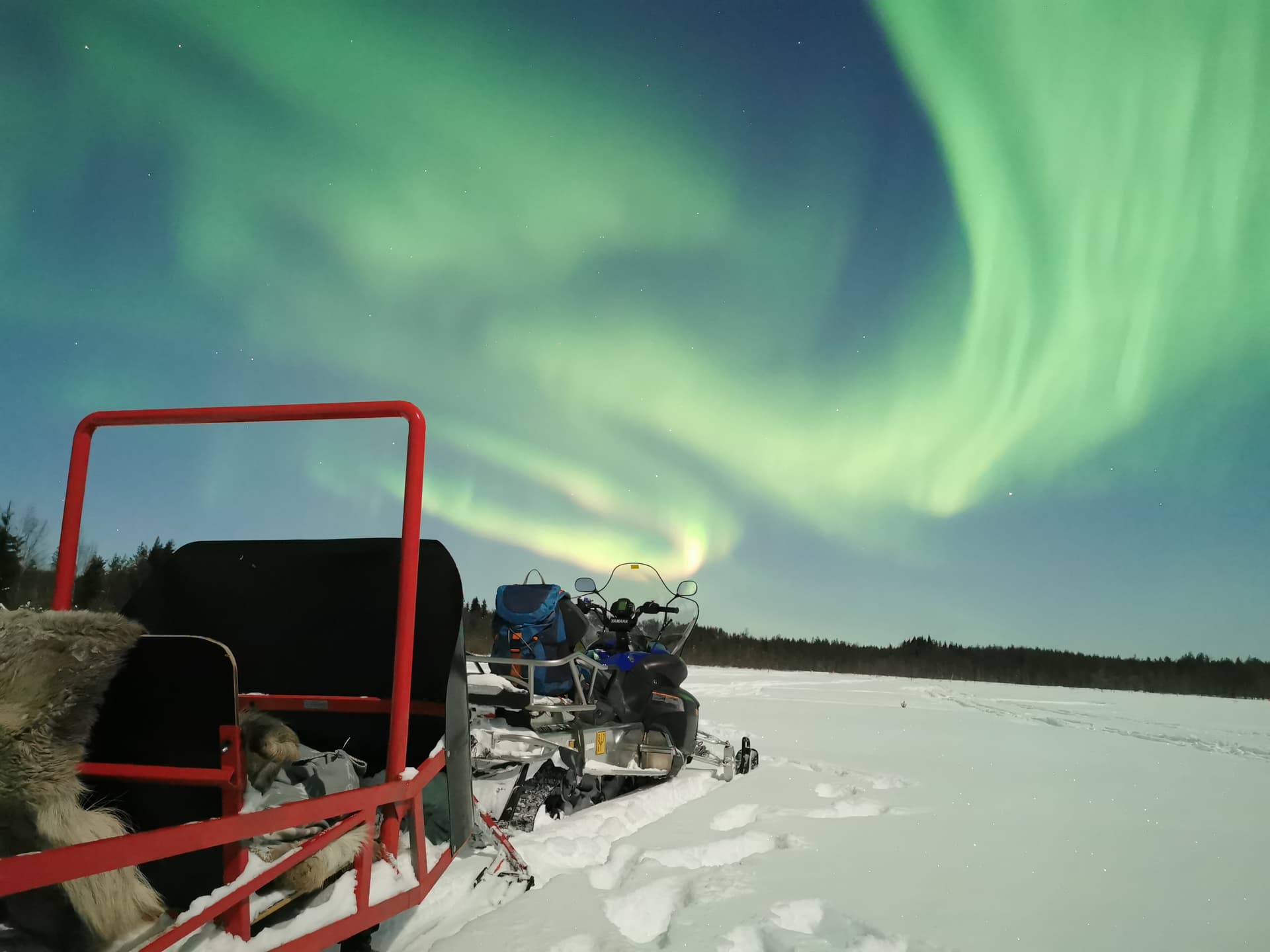 Northern Lights Sledge Ride