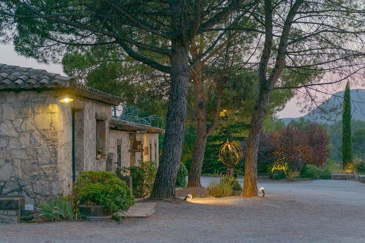 Half Day Private Wine & Oil Tasting Tour near Barcelona with Hotel Pick up