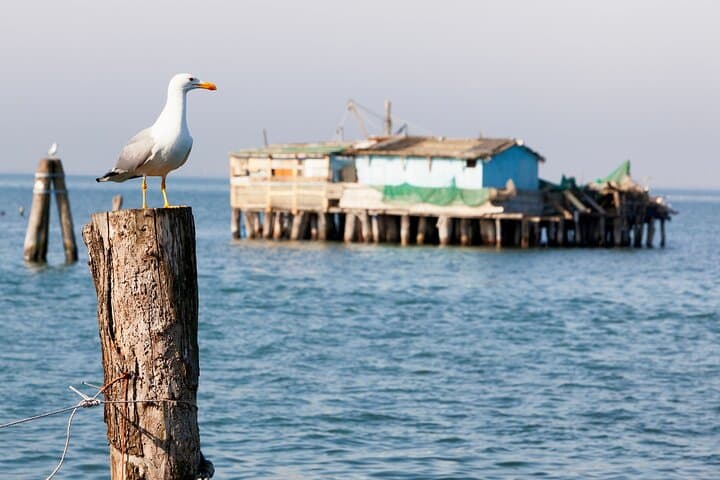 Venice Bike Hopping Tour: Lido & Pellestrina