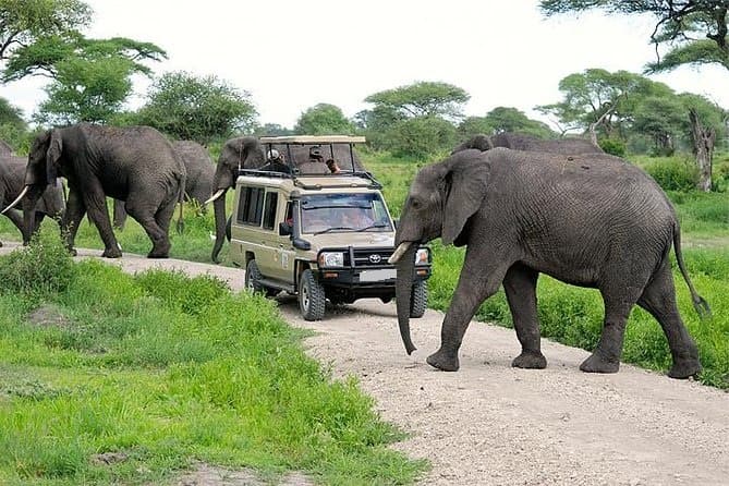 12 Days Kenya & Tanzania Combo Big Five Safari