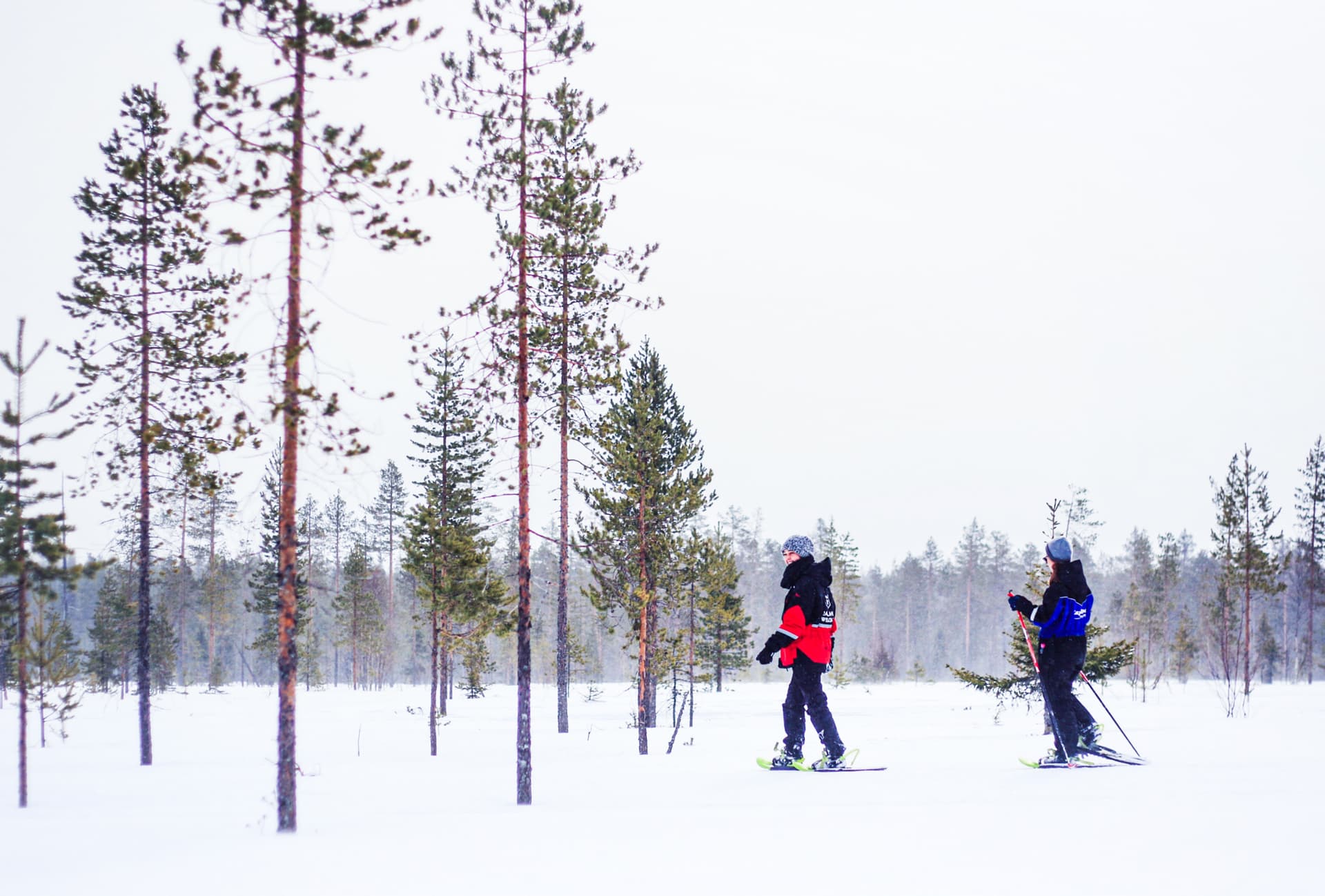 Snowshoe Trip for Ice Fishing - Saariselkä