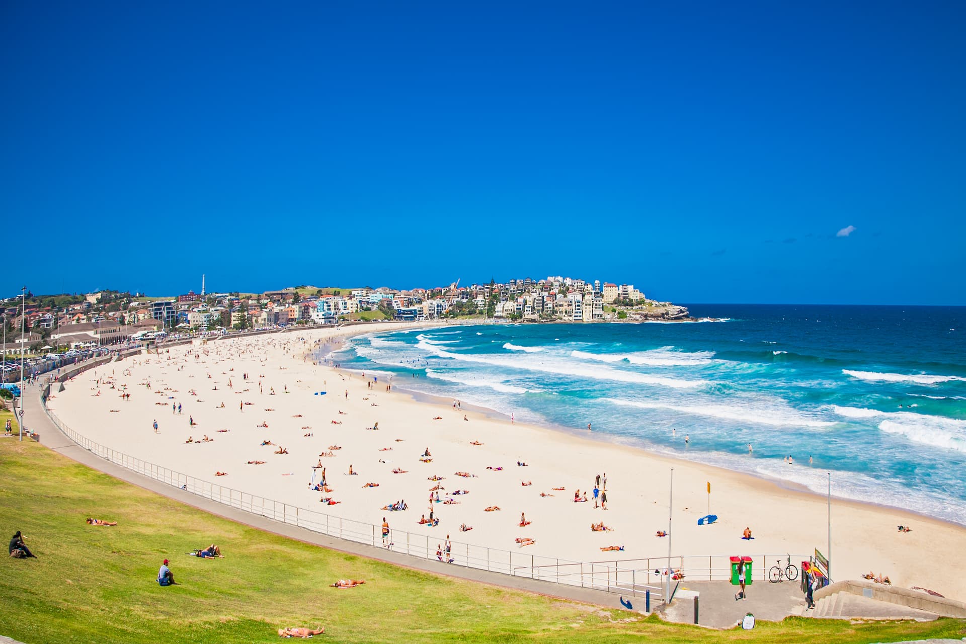 Sydney to Tasmania and Kangaroo Island Tour