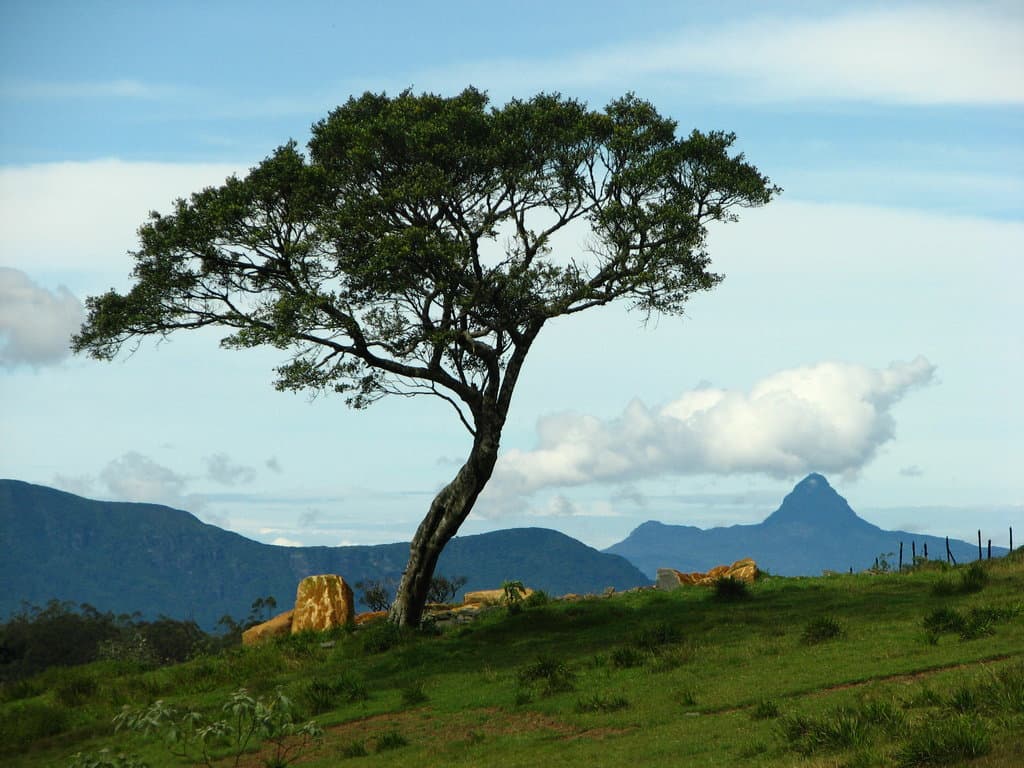 03 Day Nuwara Eliya & Ambewela Tour