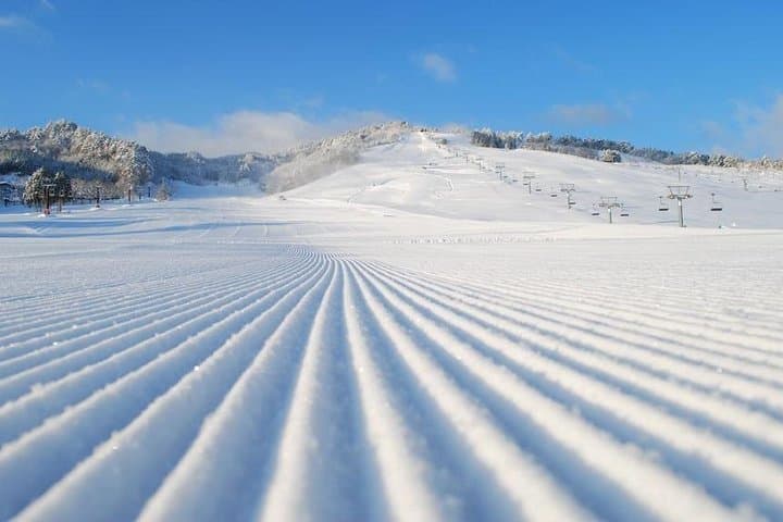 Winter Adventure in Takayama: Snow Activities Tour