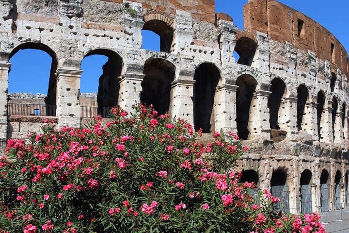 Colosseum Express Tour