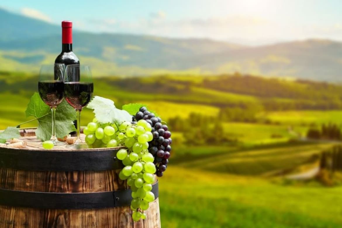 Wine and Gastronomy Tour - Argolis (From Athens)