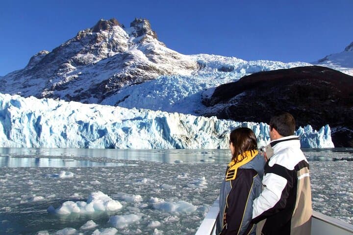 All Glaciers Navigation and Guided Visit to the Spegazzini Refuge Forests