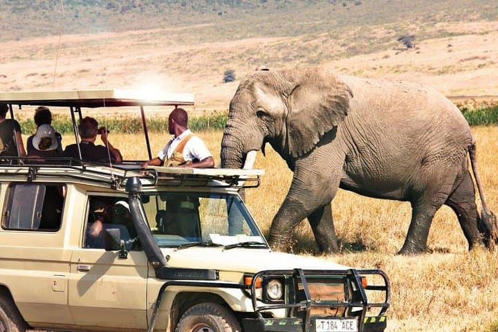 3 Days Samburu Wildlife Luxury Safari on 4x4 Land Cruiser Jeep