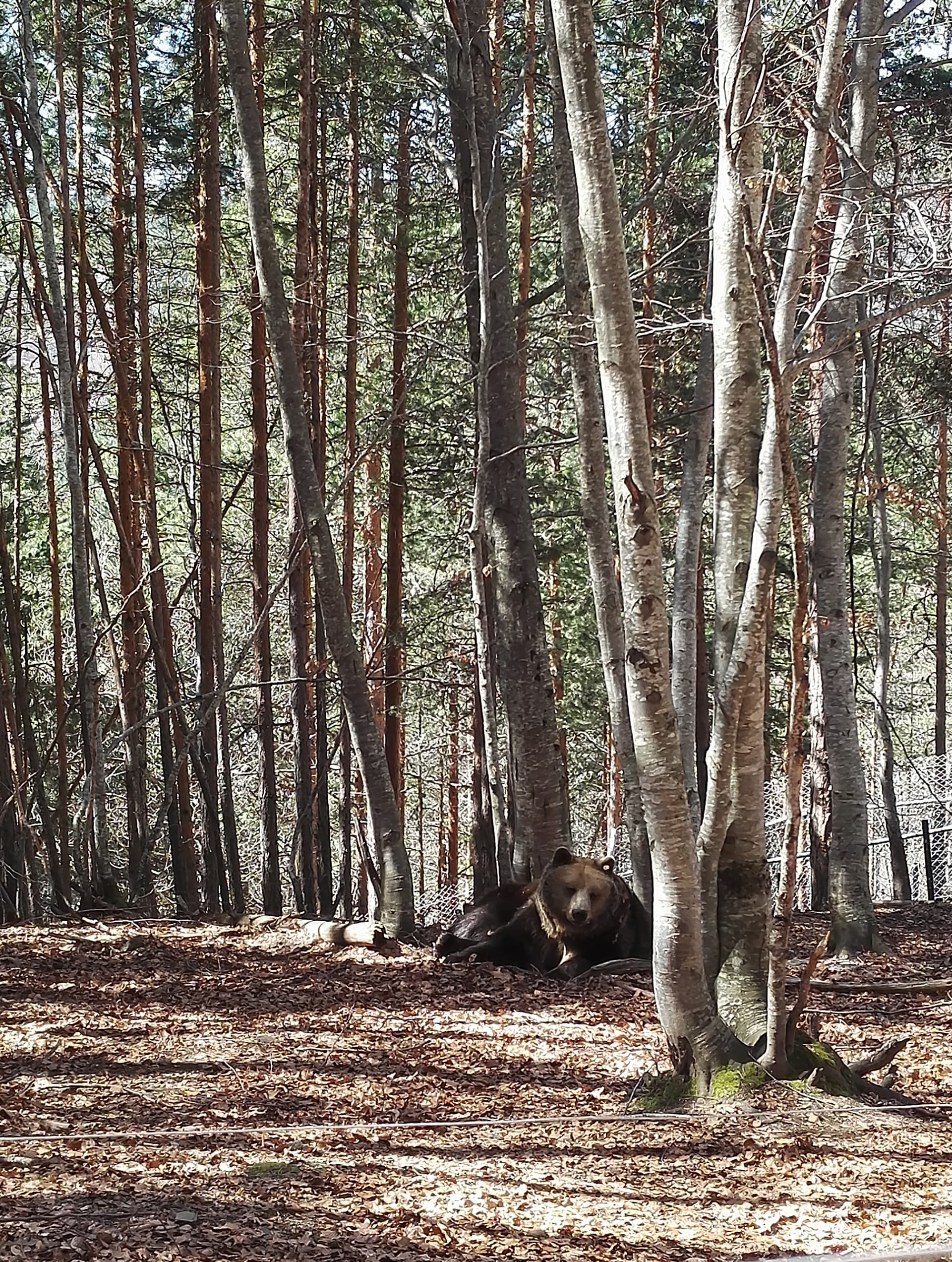 Eco Park Geranea Self-Guided
