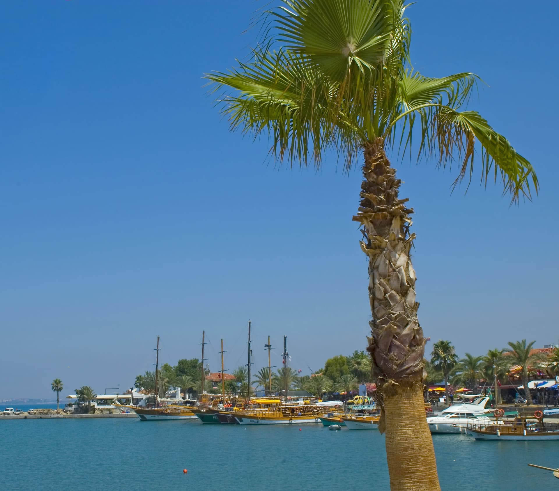 Side: All Inclusive Boat Trip