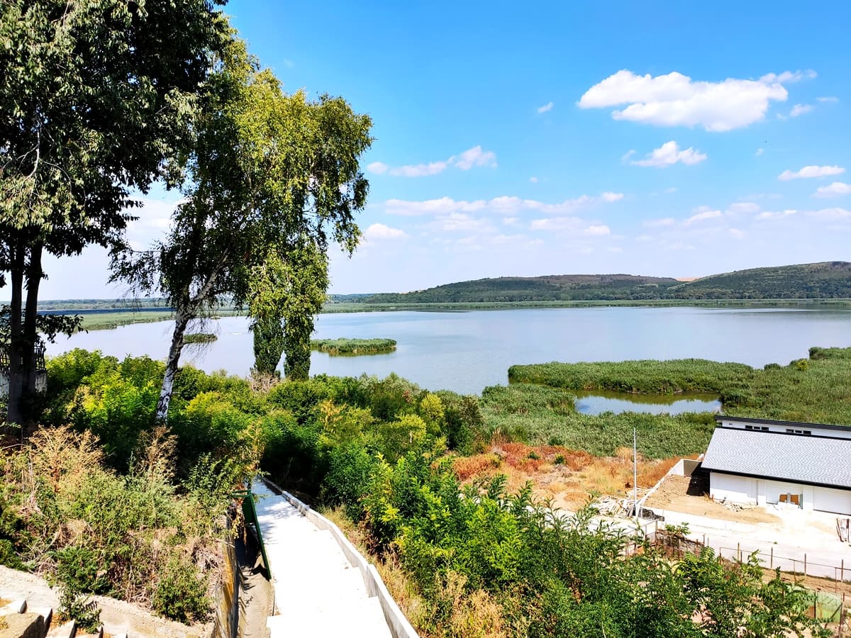 Self-Guided Birdwatching in Srebarna Reserve 