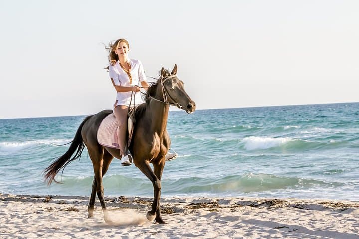 Side: Horse Riding on the Beach