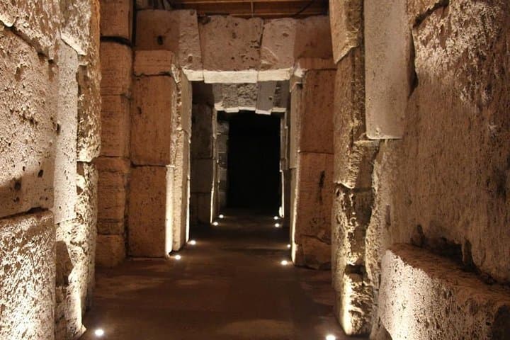 VIP Underground Colosseum, Roman Forum & Palatine Hill Skip-The-Line Guided Tour