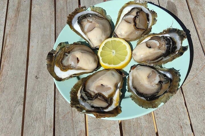 Half-Day Trip - Oysters in Ston