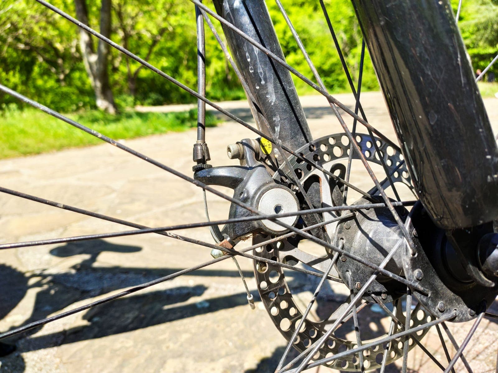 Private Full Day Cycling Tour in the Rhodope Mountains from Plovdiv