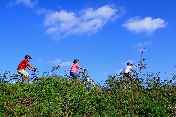 Half Day Village Cycling Tour in Yala