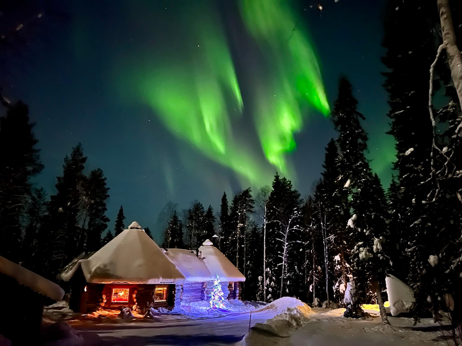 Aurora Dinner (3 Hours)