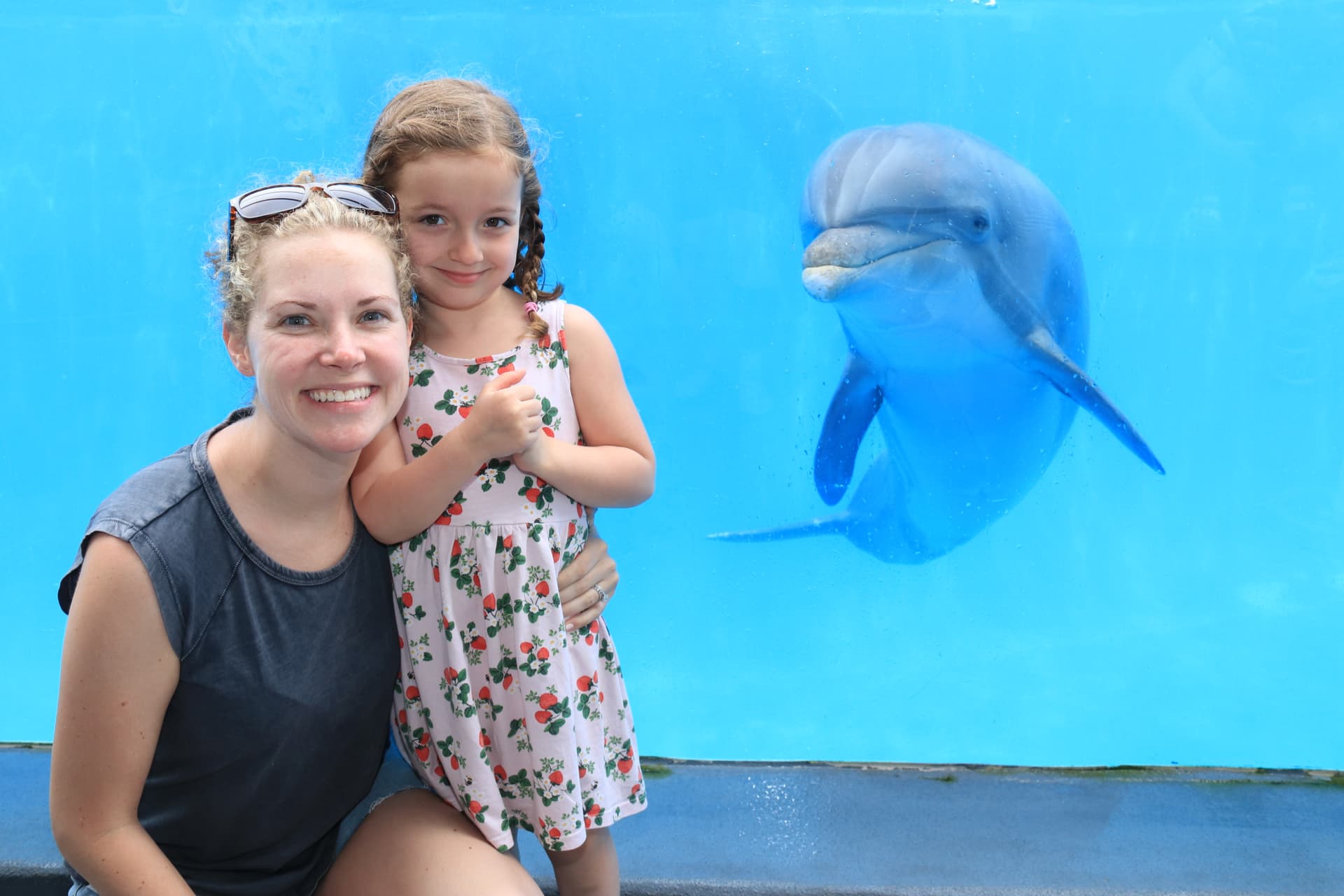General Admission at Gulf World Marine Park