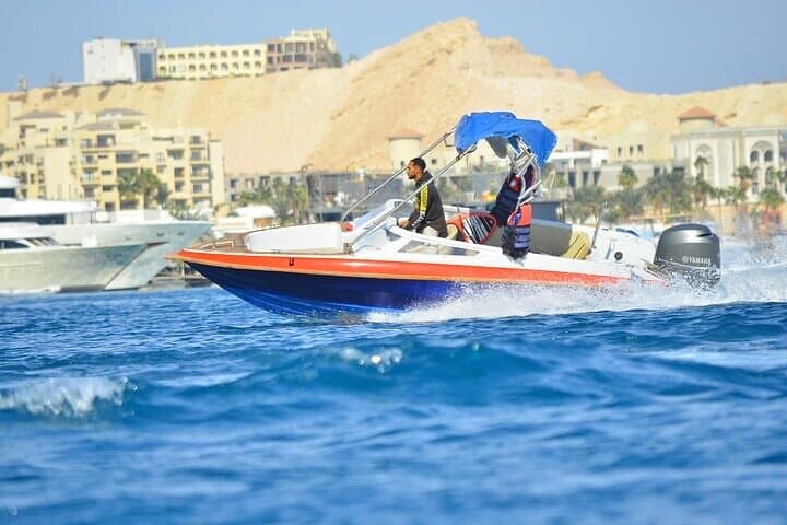 Swim With Dolphin By small-group Speedboat & Transfer - Hurghada