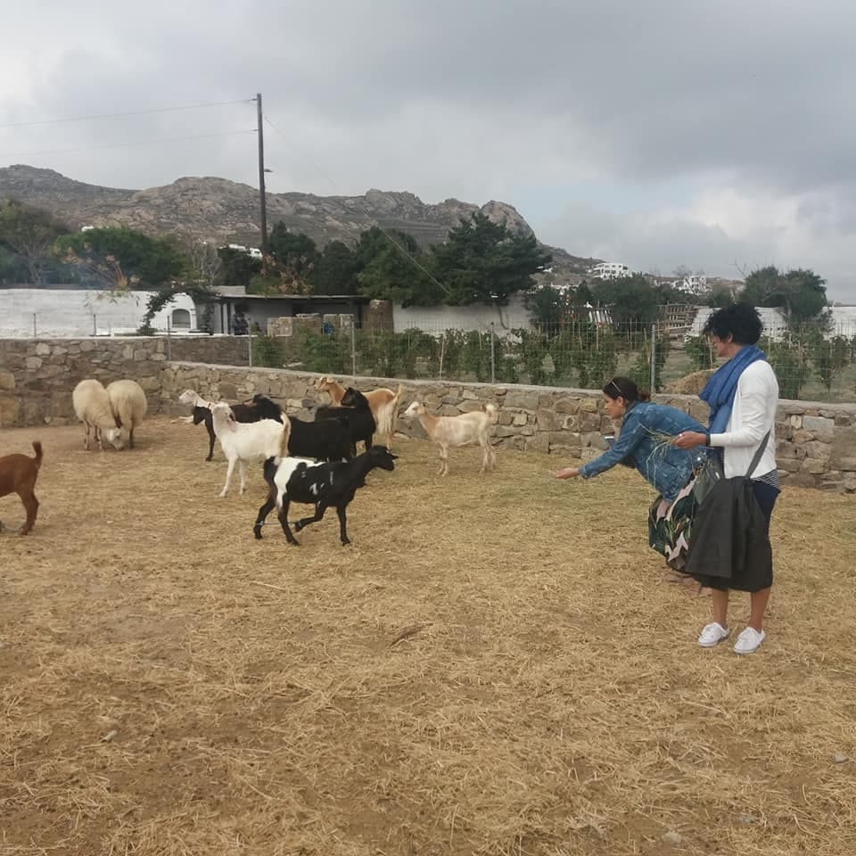 Mykonian Farm Experience