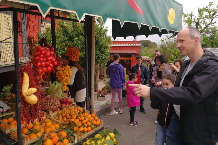 Group Excursion for Wine Tasting to the Cantine del Vesuvio (4 hours)	