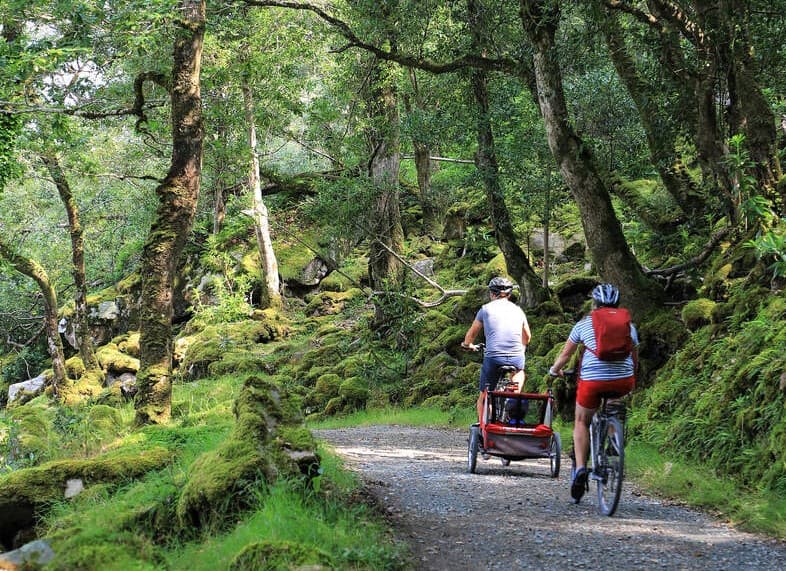 Electric biking in Glenveagh National Park. Donegal. Self guided. Half day.