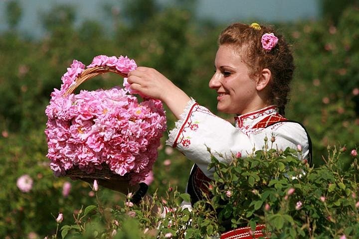 The Valley of the Roses and Koprivshtitsa Tour from Sofia