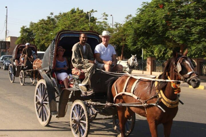 City Tour By Horse Carriage One Hour in Luxor - Luxor