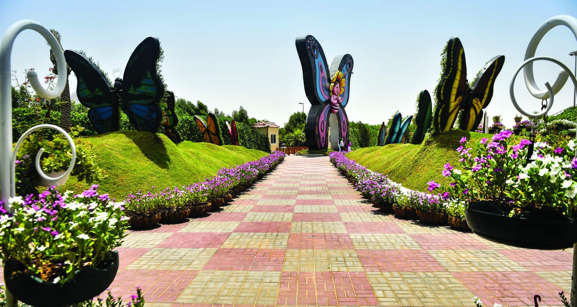 Tickets to Dubai Butterfly Garden