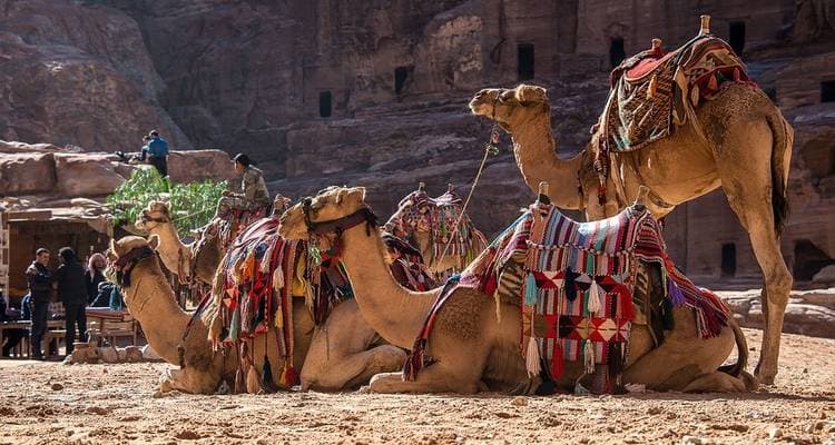 Best of Egypt and Jordan 10 Days 