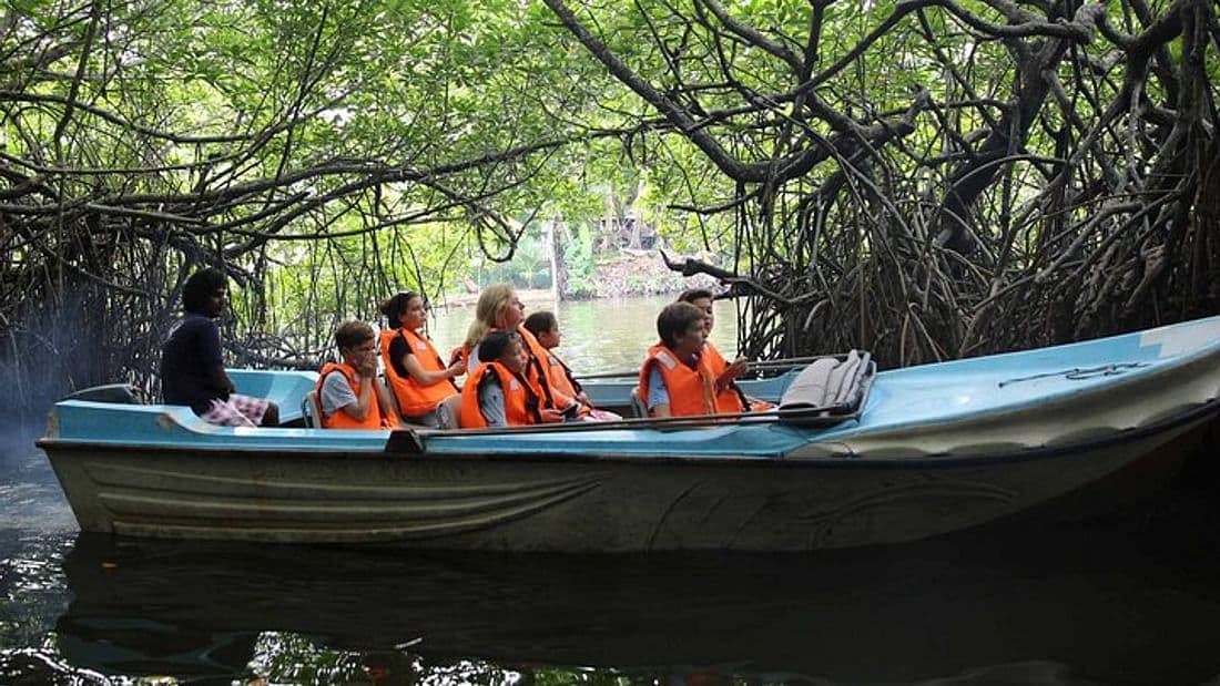  From Tangalla: Boat Safari & Hikkaduwa Coral Reef Visit including Galle City