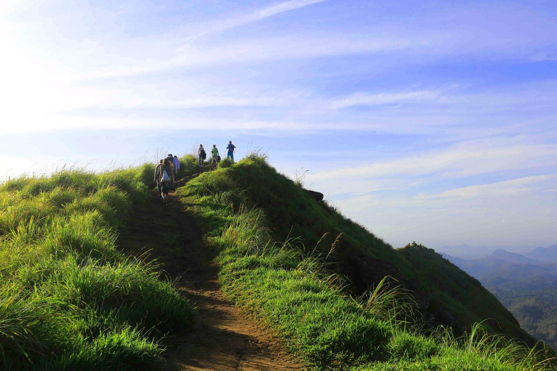 Knuckles and Riverston Trekking Experience 