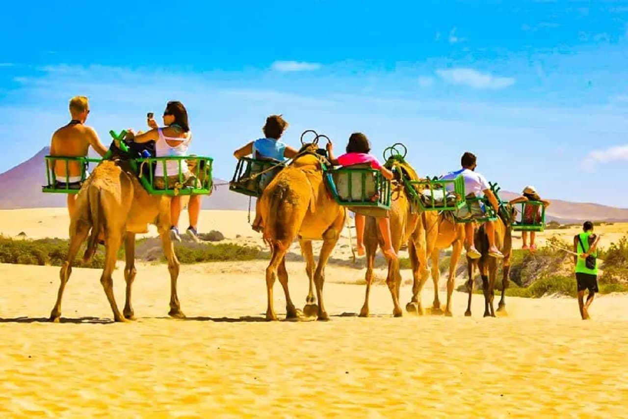 City E-Bike Tour with Camel Safari through the Maspalomas Sand Dunes
