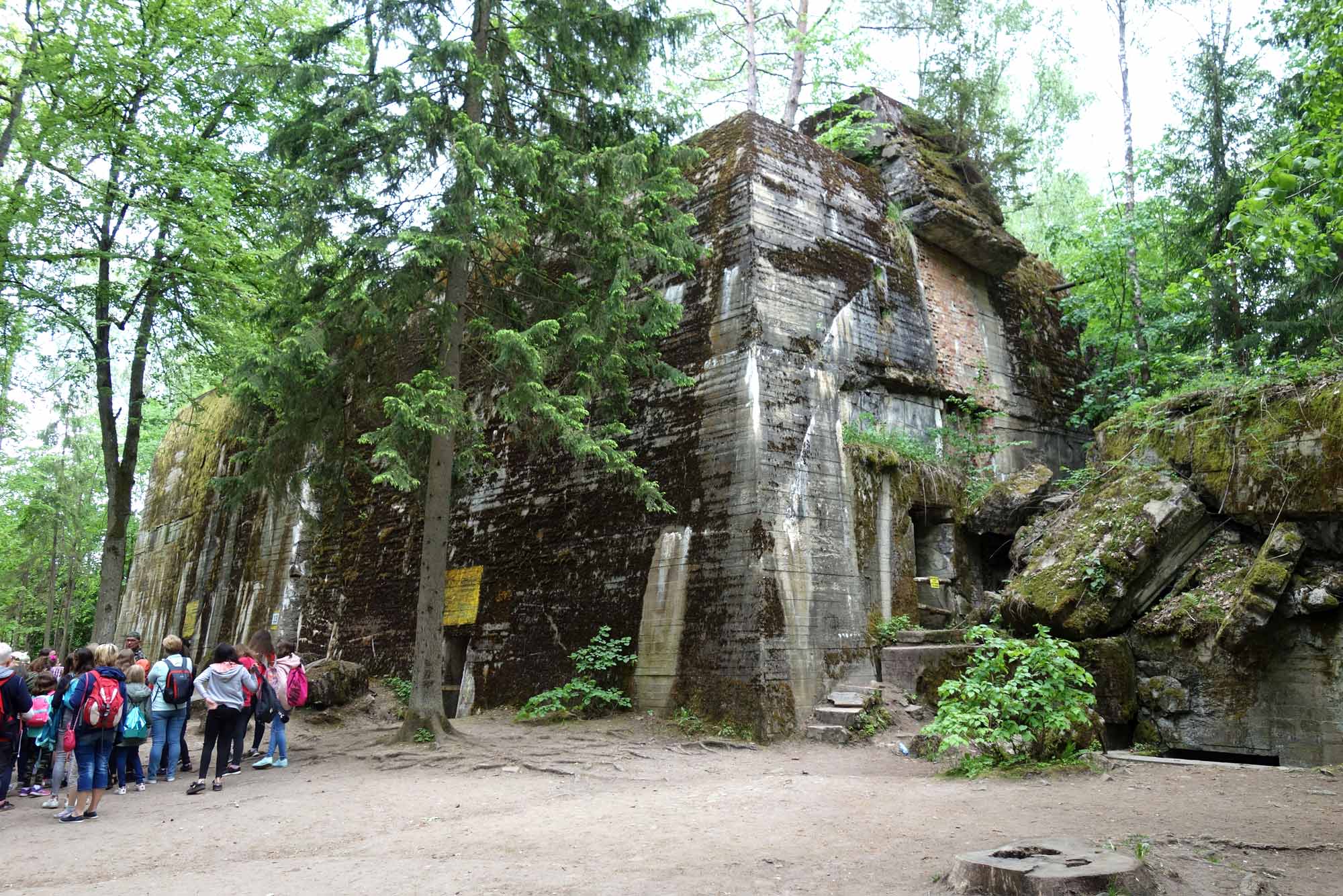 Wolf's Lair Adolf Hitler's World War II HQ - One Day Tour from Warsaw