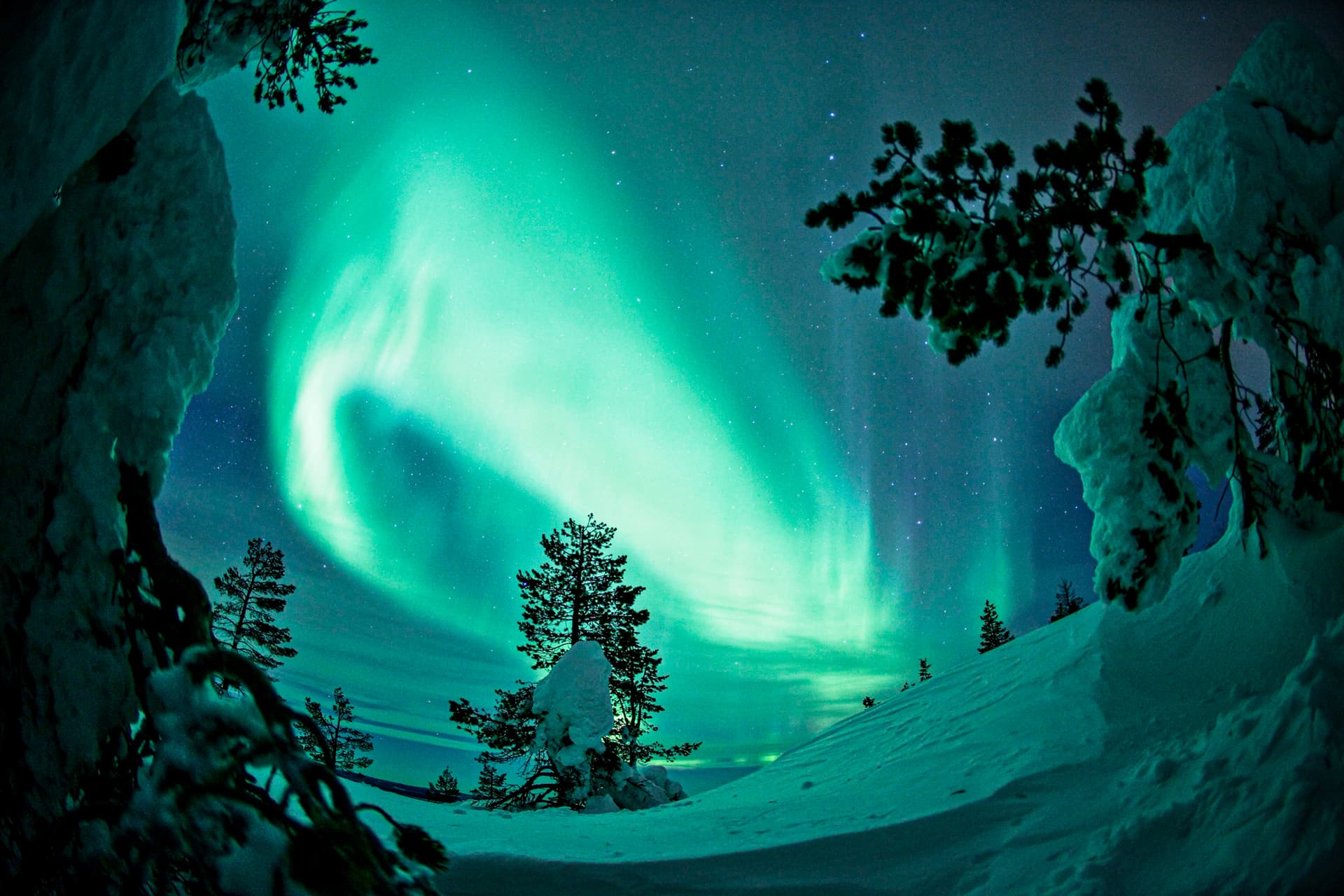Private Aurora Tour (1-4) by Aurora Experts - Rovaniemi