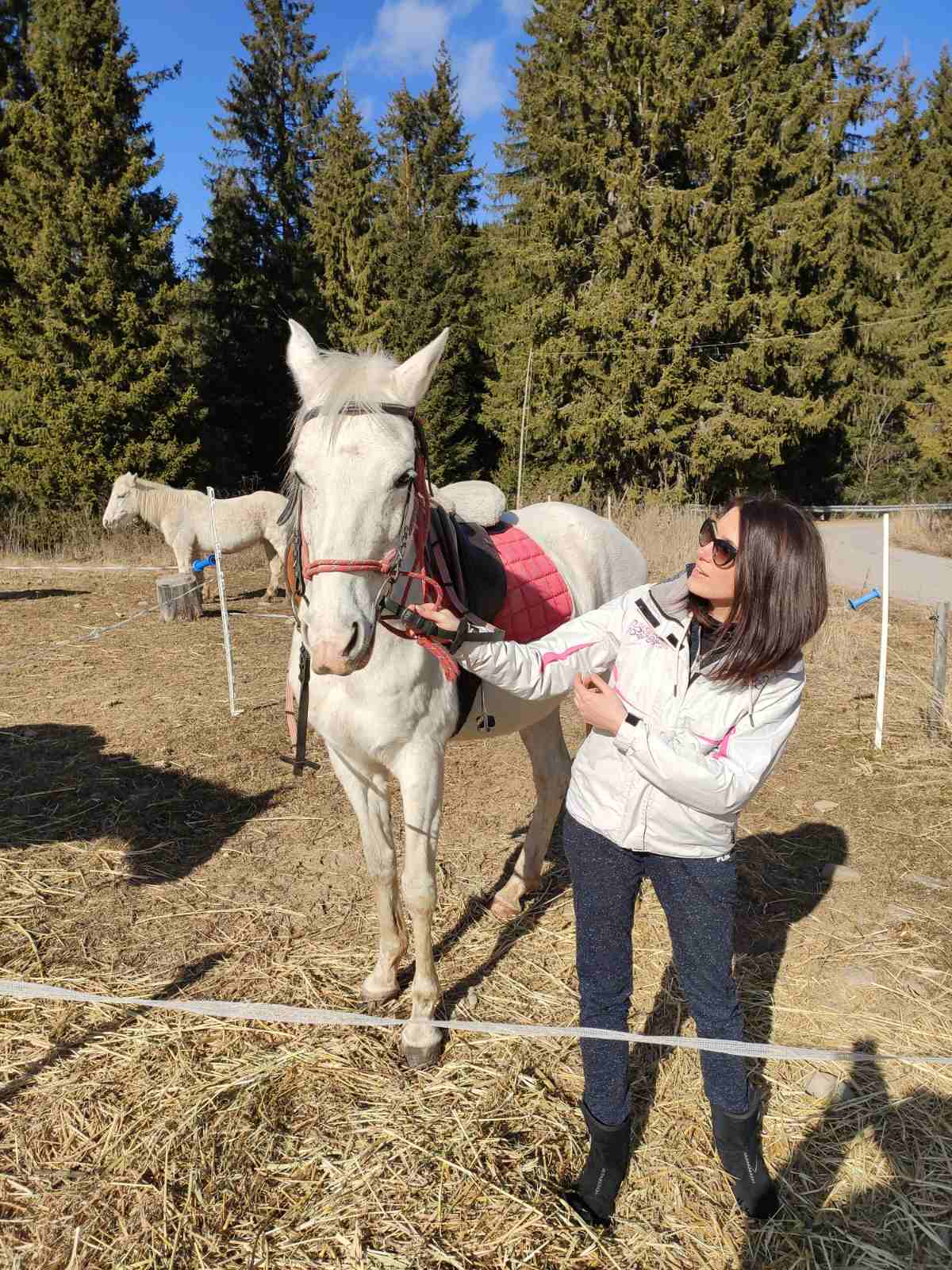 Private 2-Day Horse Riding Trip in Rila from Sofia