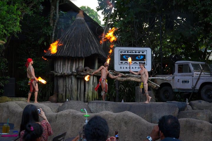 Night Safari Entrance with Private Transfer from Singapore