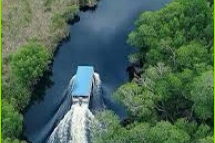 Black River Safari Guided Tour & YS Falls Tour 
