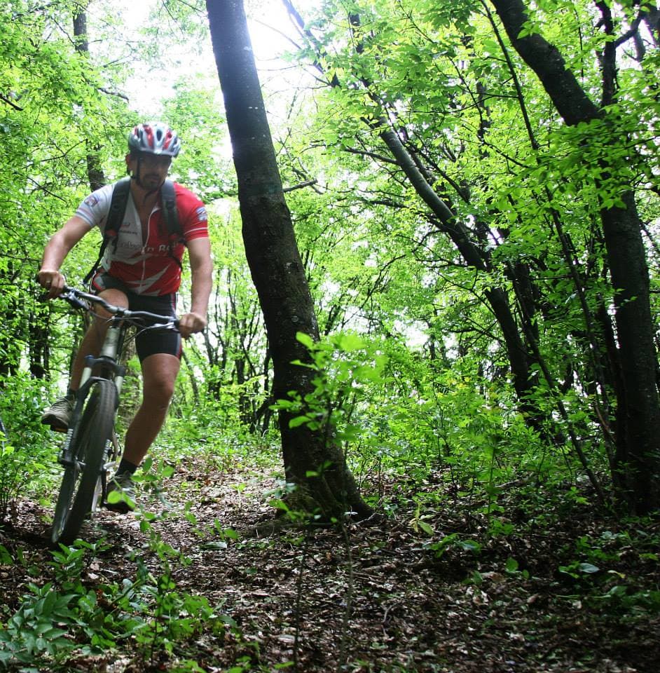 Private Mountain Biking in Vitosha from Sofia